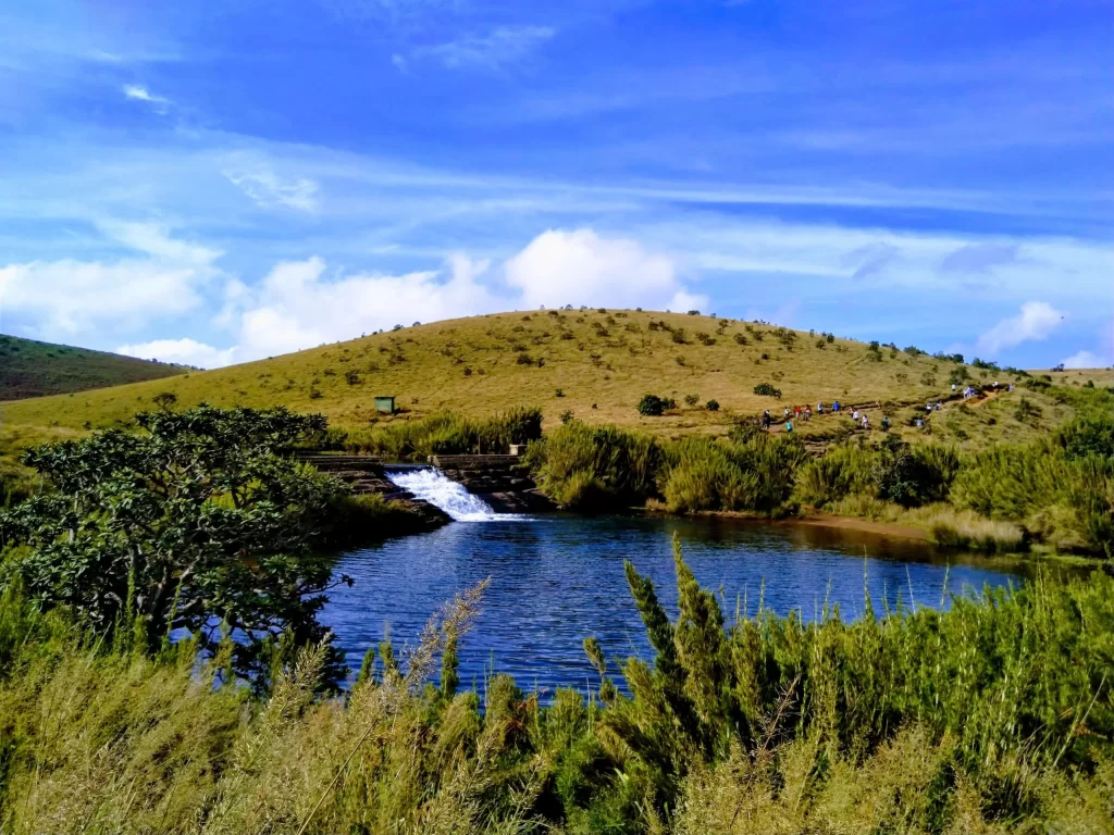 Horton plains national park 1 scaled 1