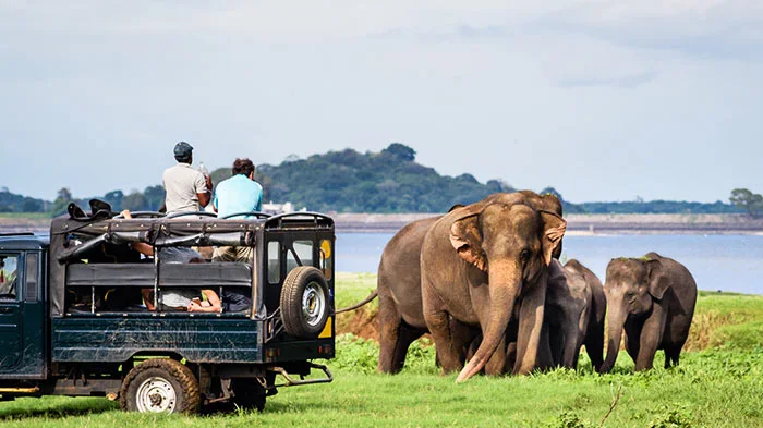 sri lanka tourism